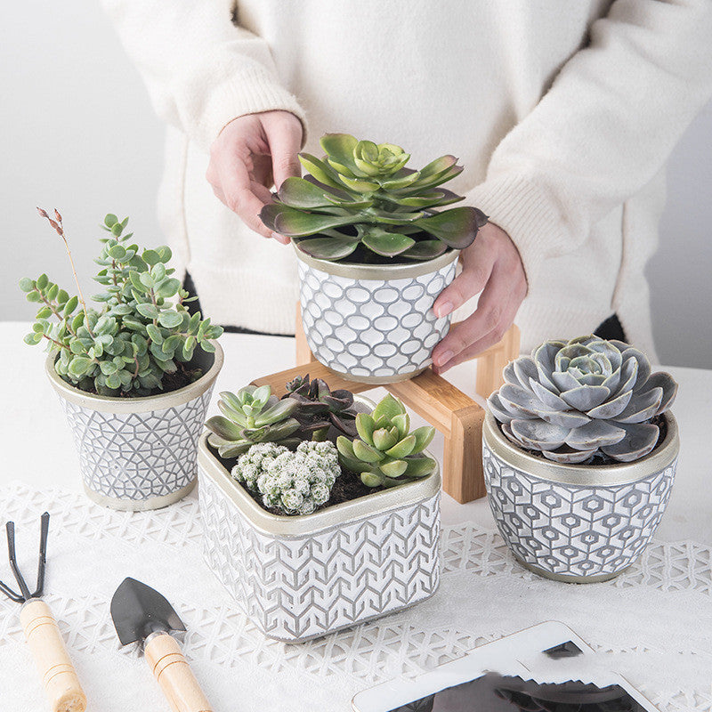 White Succulent Planter Pot