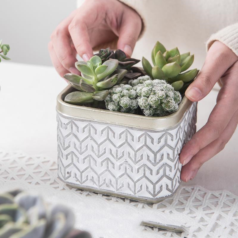 Elegant White Succulent Ceramic Planter Pot - Succulent Planter Pot with Grey Patterns