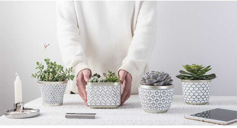 Elegant White Succulent Ceramic Planter Pot - Succulent Planter Pot with Grey Patterns