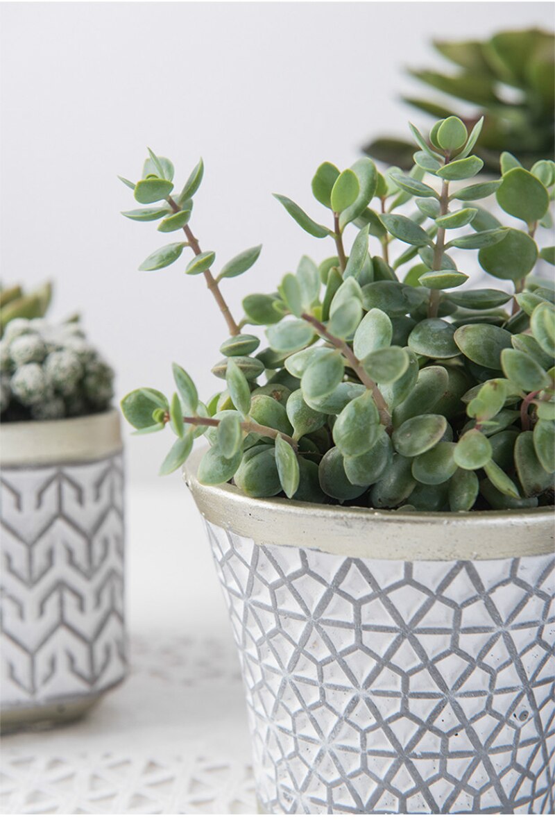 Elegant White Succulent Ceramic Planter Pot - Succulent Planter Pot with Grey Patterns