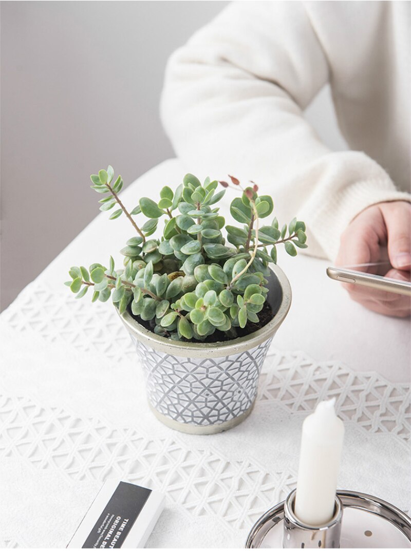 Elegant White Succulent Ceramic Planter Pot - Succulent Planter Pot with Grey Patterns