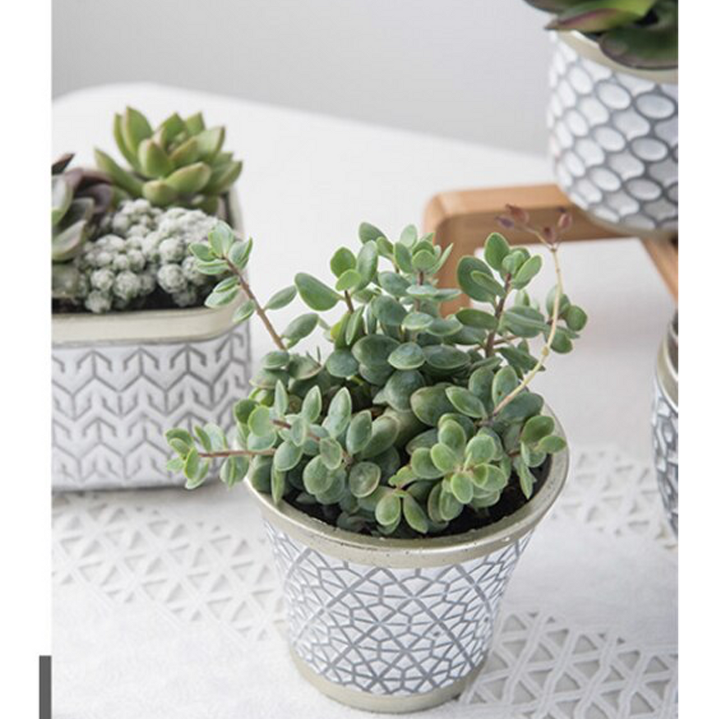 Elegant White Succulent Ceramic Planter Pot - Succulent Planter Pot with Grey Patterns