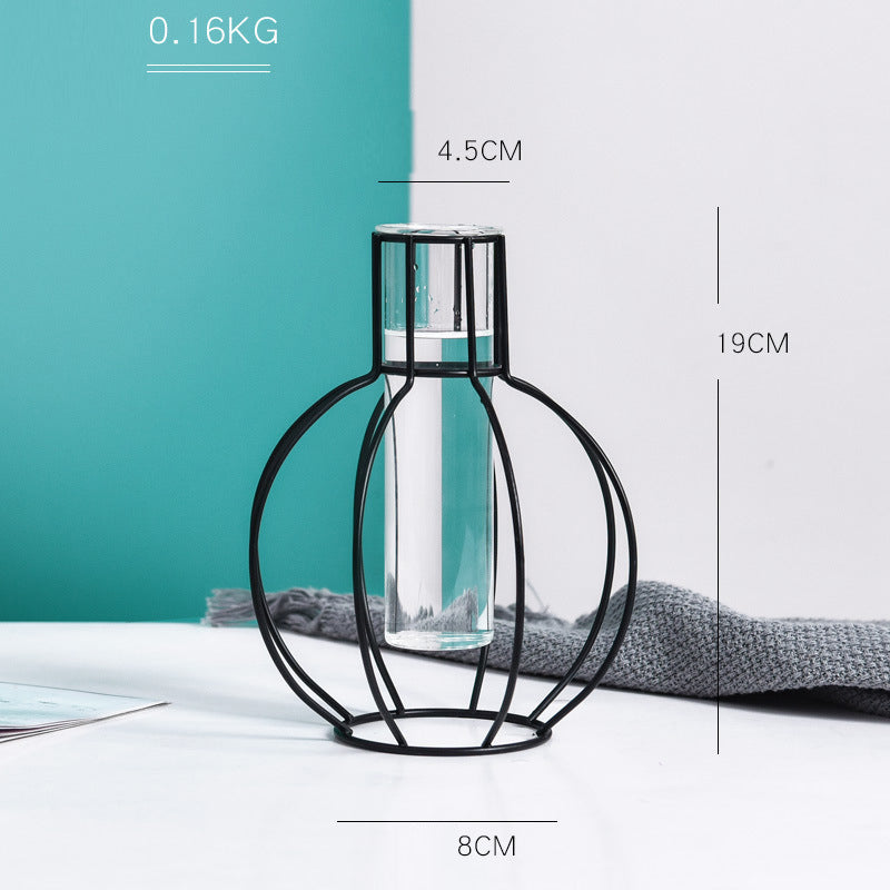 Black Transparent Minimalist Iron and Glass Hydroponic Vase Collection