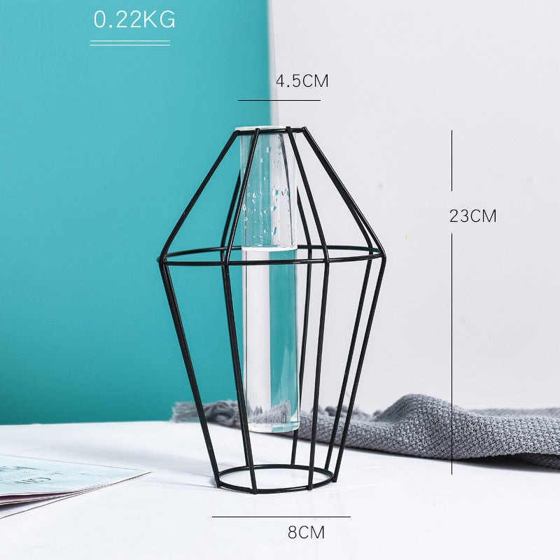 Black Transparent Minimalist Iron and Glass Hydroponic Vase Collection