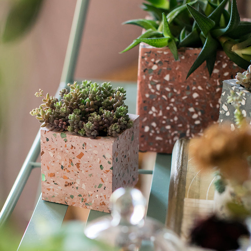 Speckled Concrete Succulent Planter Pot Collection, Colourful Cement Planter, Indoor Outdoor Pot