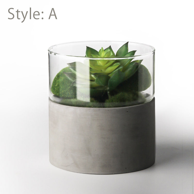 Elegant Straight Glass Vase with Cement Bottom | Indoor Pot