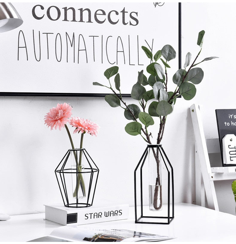 Black Transparent Minimalist Iron and Glass Hydroponic Vase Collection