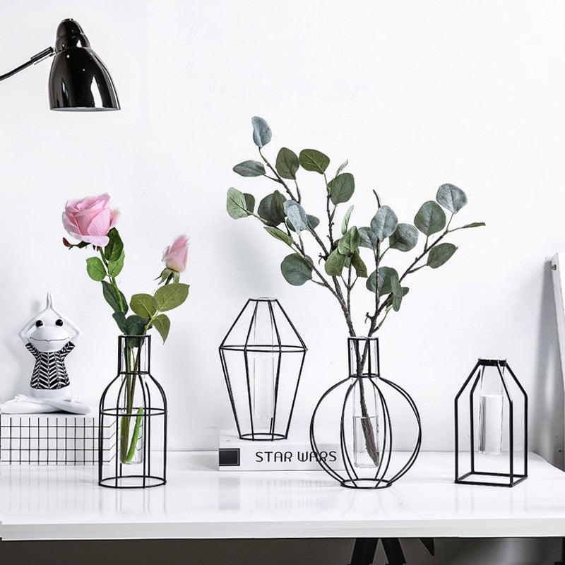 Black Transparent Minimalist Iron and Glass Hydroponic Vase Collection