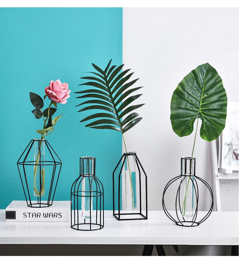 Black Transparent Minimalist Iron and Glass Hydroponic Vase Collection