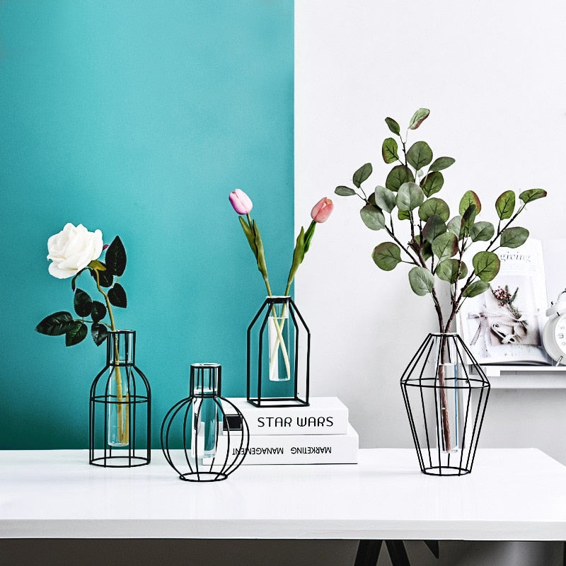 Black Transparent Minimalist Iron and Glass Hydroponic Vase Collection