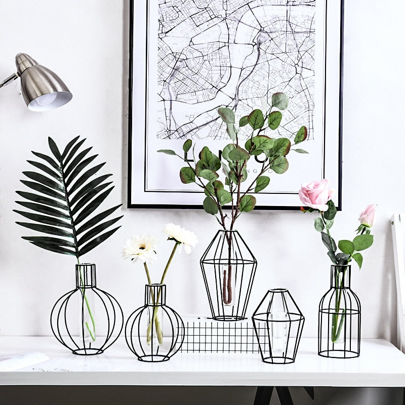 Black Transparent Minimalist Iron and Glass Hydroponic Vase Collection