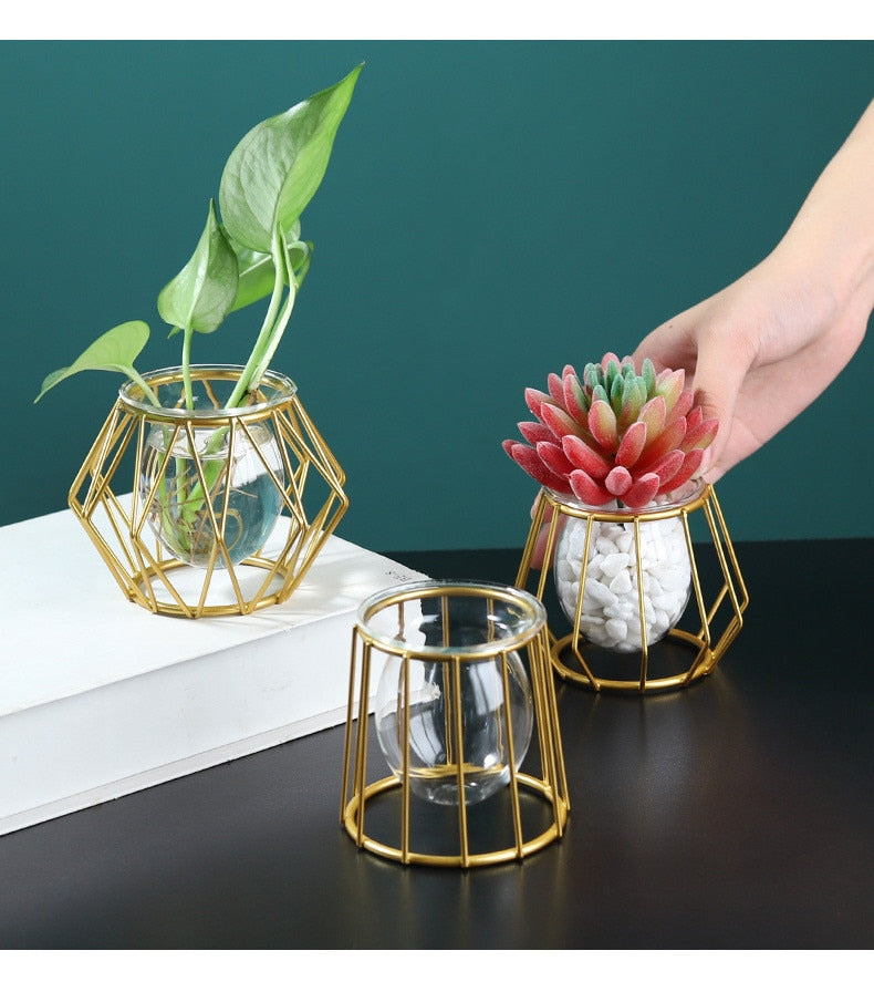 Black and Gold Geometric Iron and Glass Propagation Vase Collection