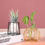 Load image into Gallery viewer, Black and Gold Geometric Iron and Glass Propagation Vase Collection
