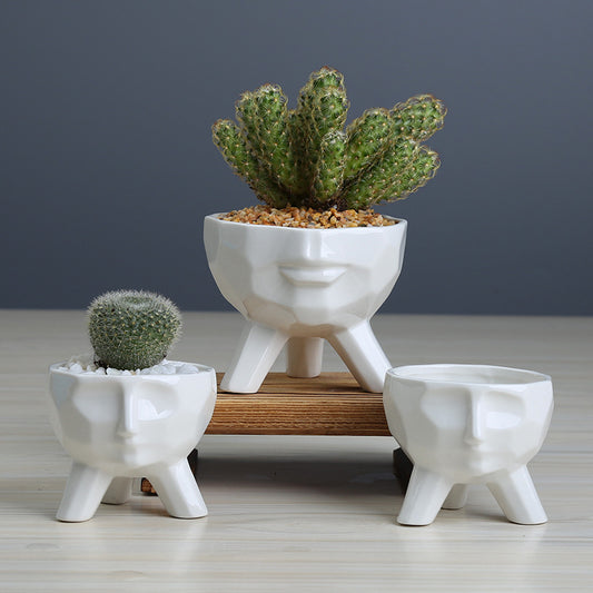 Unique Modern Face Art Ceramic Succulent and Cactus Pot Collection