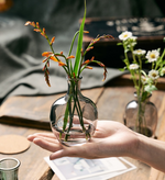 Load image into Gallery viewer, Mini Classic Glass Vase Collection II
